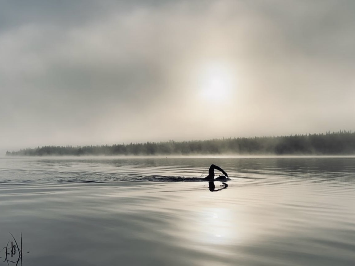 Freestyle swimmer at dawn on open water